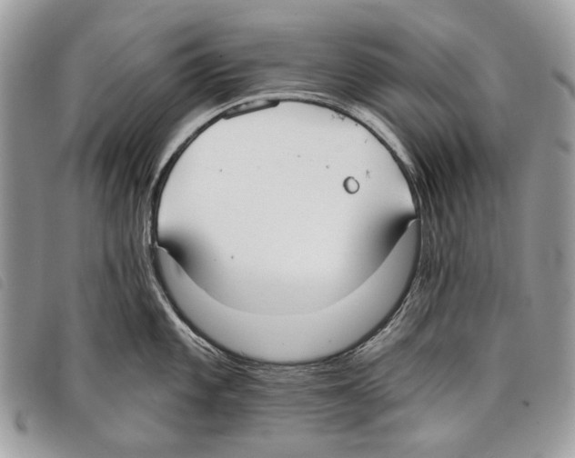 X0000097811101200804110944