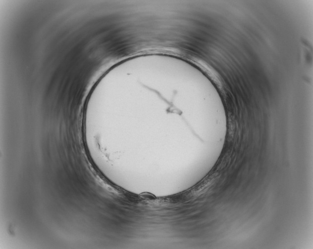 X0000097811102200804110944