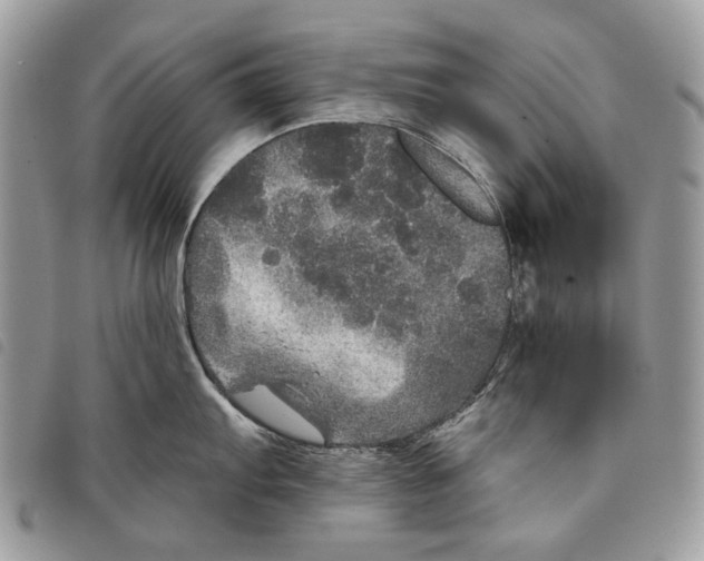 X0000097811103200804110944