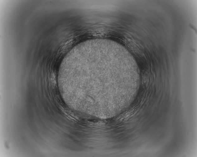 X0000097811106200804110943