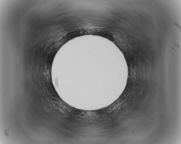 X0000097811109200804110943