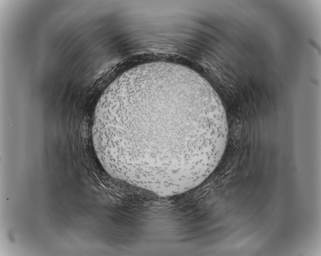 X0000097811110200804110943