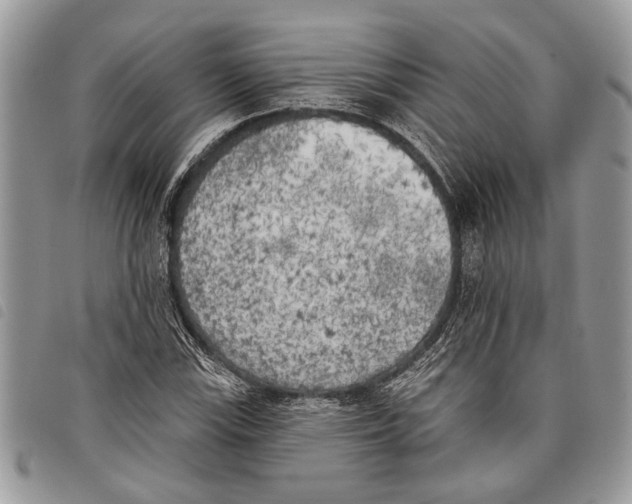 X0000097811115200804110943