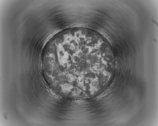 X0000097811117200804110943