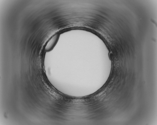 X0000097811118200804110943