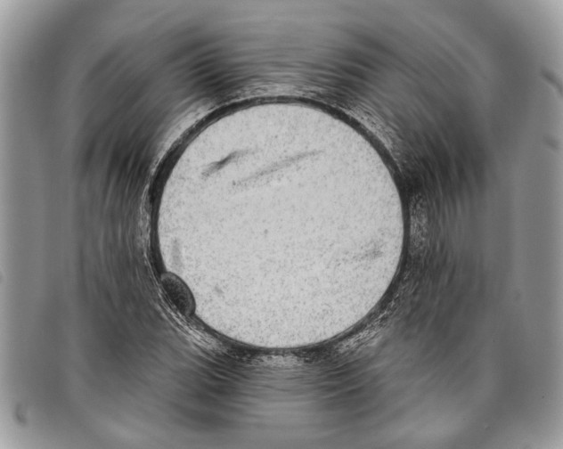 X0000097811119200804110943