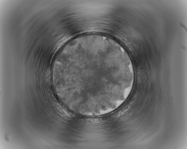 X0000097811121200804110943