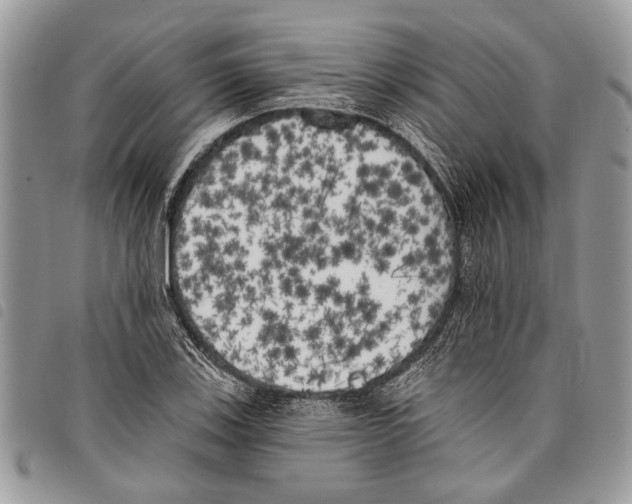 X0000097811123200804110943