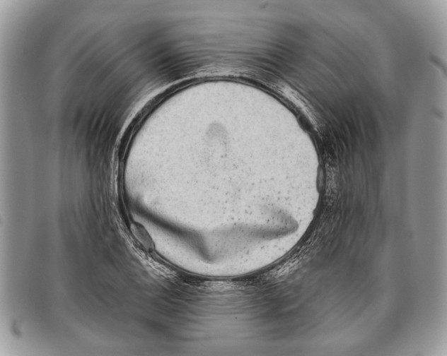 X0000097811124200804110943