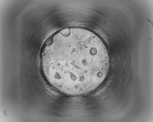 X0000097811125200804110943