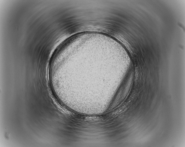 X0000097811128200804110943