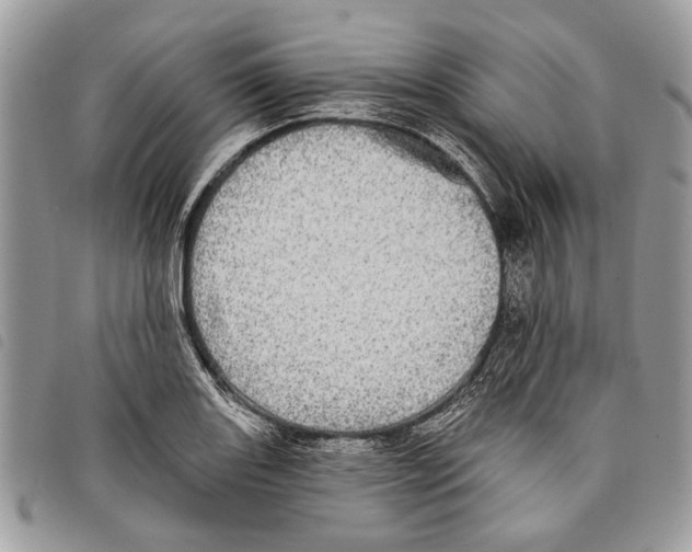 X0000097811131200804110944