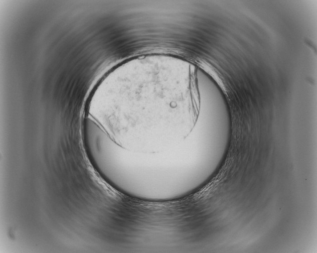 X0000097811132200804110944