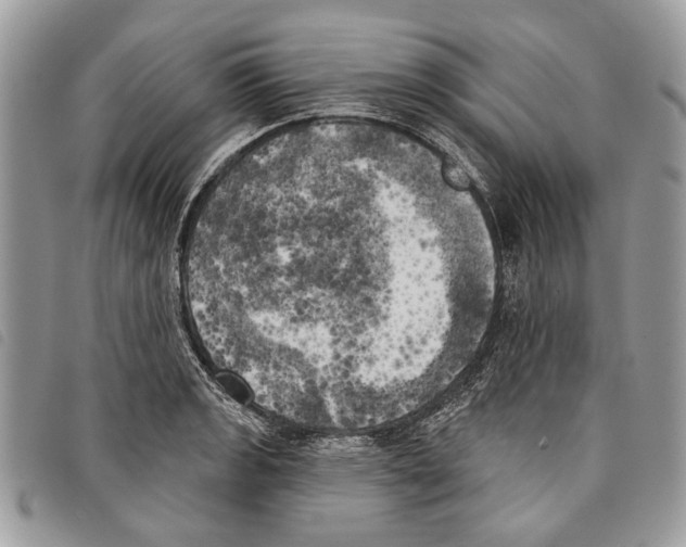 X0000097811133200804110944