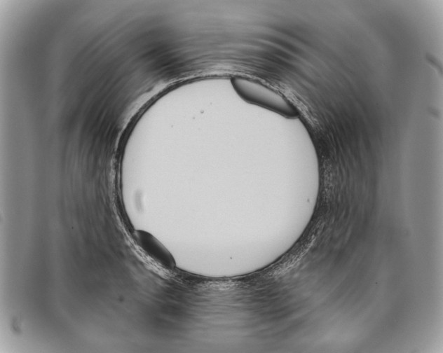 X0000097811134200804110944