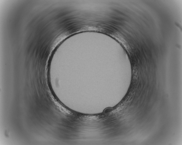 X0000097811135200804110944