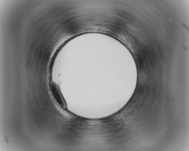 X0000097811136200804110944