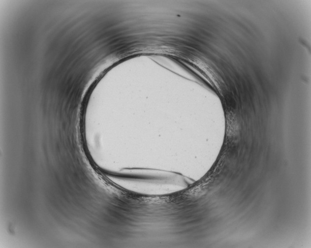 X0000097811139200804110944