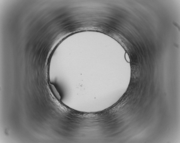 X0000097811140200804110944