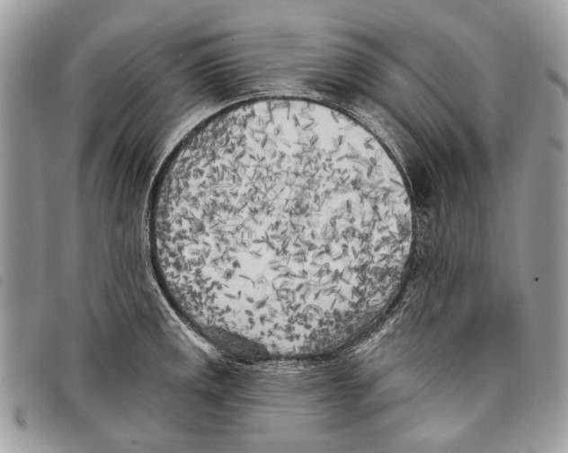 X0000097811141200804110944