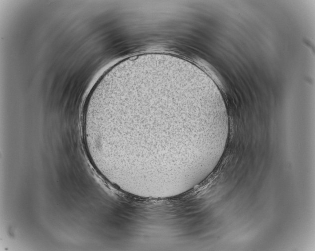 X0000097811148200804110944