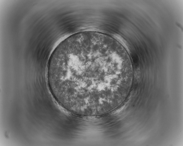 X0000097811149200804110944