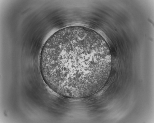 X0000097811151200804110944