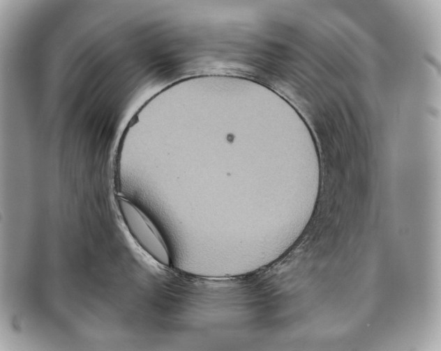 X0000097811152200804110944