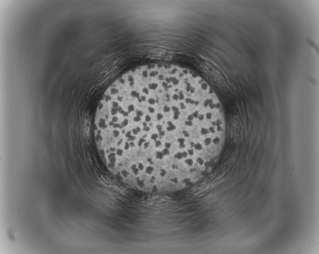 X0000097811154200804110943