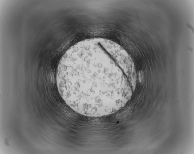 X0000097811155200804110943