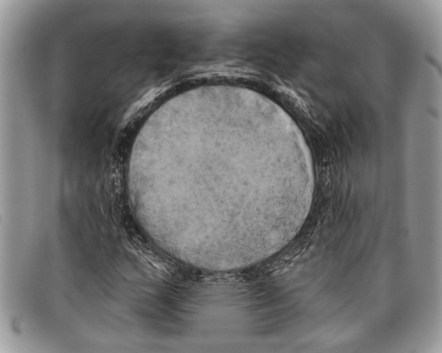 X0000097811159200804110943