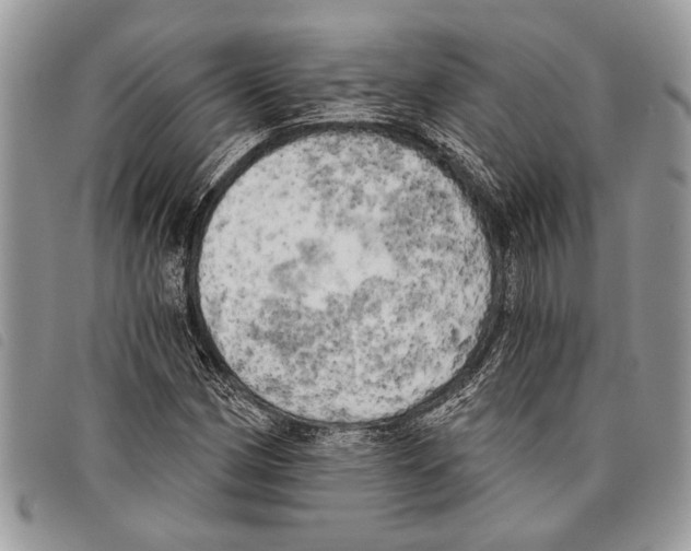 X0000097811162200804110943