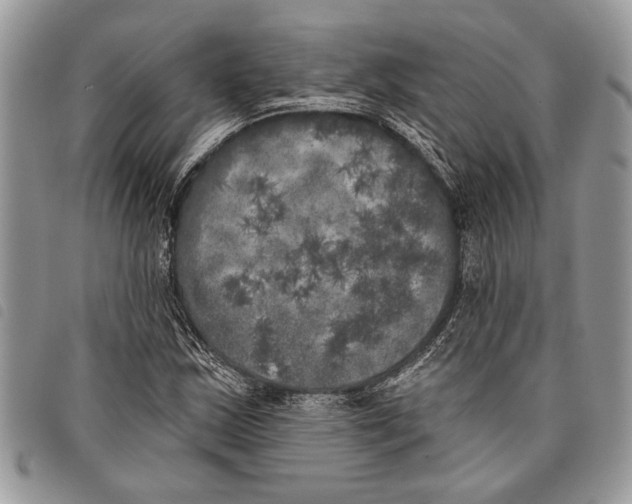 X0000097811163200804110943