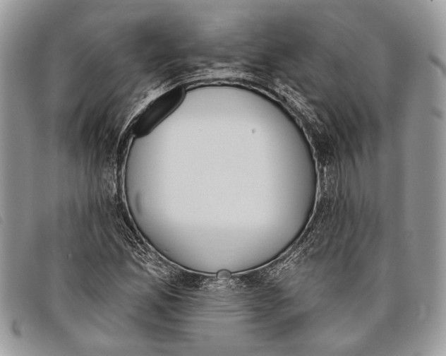 X0000097811165200804110943