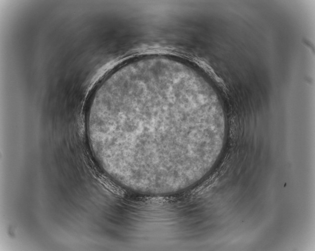 X0000097811167200804110943