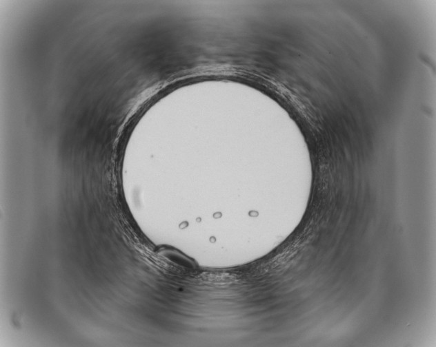 X0000097811168200804110943