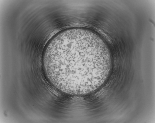 X0000097811170200804110943