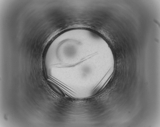 X0000097811173200804110943