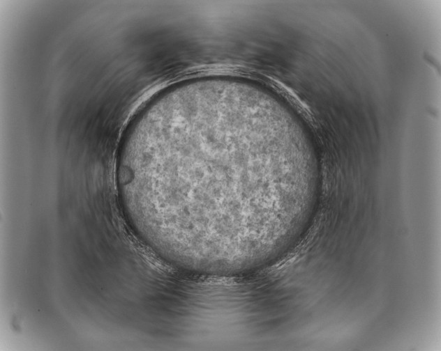 X0000097811174200804110943