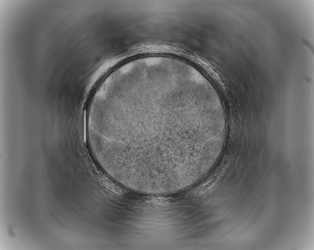 X0000097811175200804110943