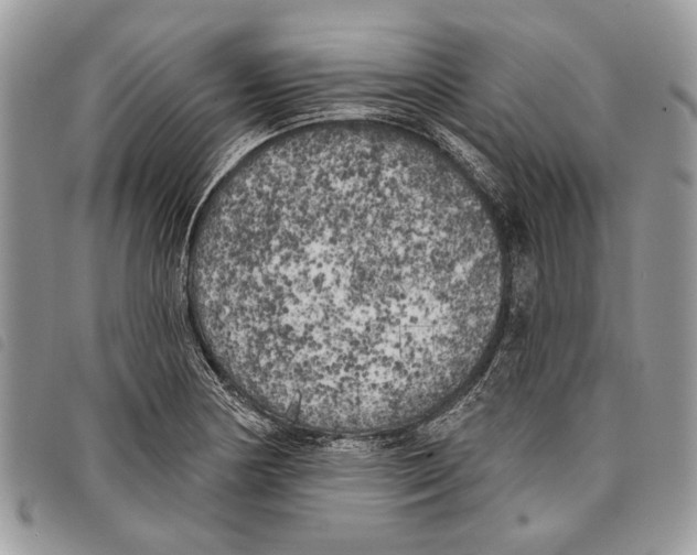 X0000097811178200804110943