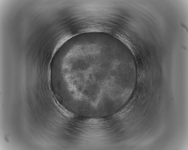 X0000097811179200804110943