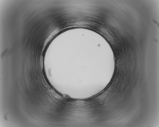 X0000097811180200804110943