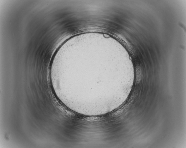 X0000097811182200804110943