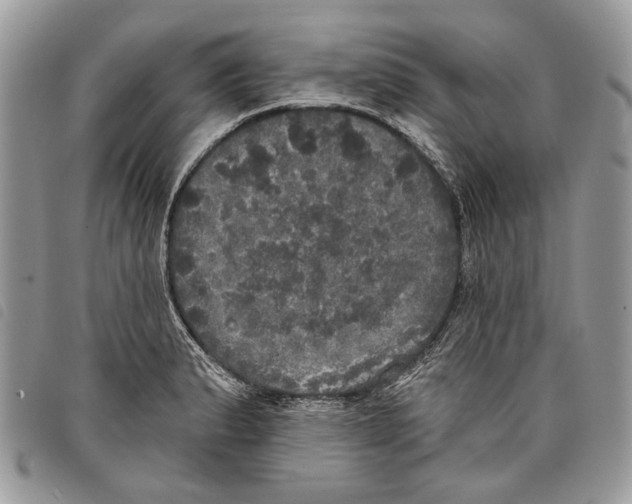 X0000097811183200804110943