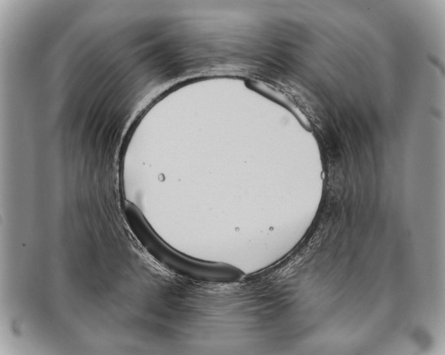 X0000097811184200804110943