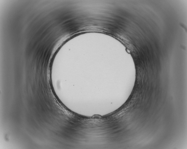 X0000097811188200804110942