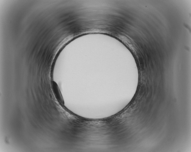 X0000097811189200804110942