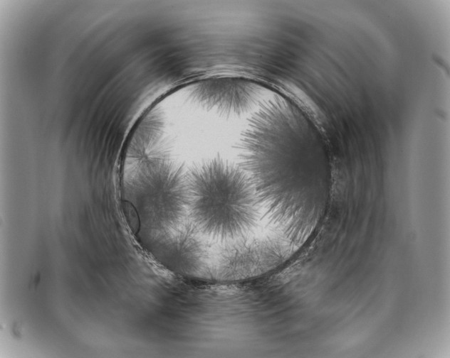 X0000097811190200804110942