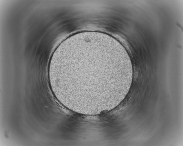 X0000097811191200804110942